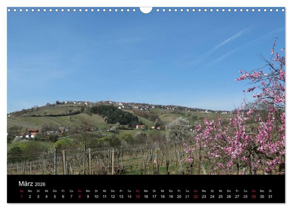 Produktbild: Weinidylle im S&uuml;dburgenland (Wandkalender 2026 DIN A3 quer), CALVENDO Monatskalender