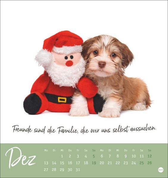 Produktbild: Ziemlich beste Freunde Postkartenkalender 2027 - F&uuml;r immer dein