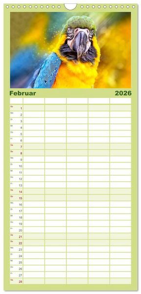 Produktbild: Familienplaner 2026 - Mein bunter Papagei mit 5 Spalten (Wandkalender, 21 x 45 cm) CALVENDO