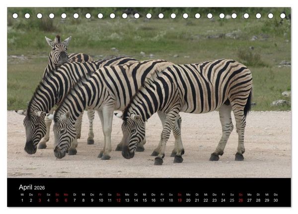 Produktbild: W&uuml;stenzauber Namibia (Tischkalender 2026 DIN A5 quer), CALVENDO Monatskalender