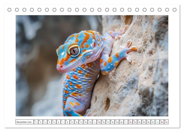 Produktbild: Kleine Echsen haben Spass (Tischkalender 2026 DIN A5 quer), CALVENDO Monatskalender