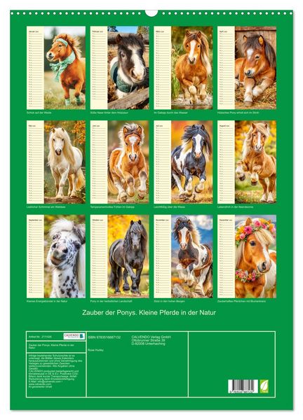 Produktbild: Zauber der Ponys. Kleine Pferde in der Natur (Wandkalender 2026 DIN A2 hoch), CALVENDO Monatskalender