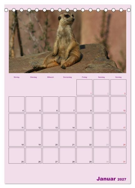 Produktbild: Erdm&auml;nnchen / Terminplaner (Tischkalender 2027 DIN A5 hoch), CALVENDO Monatskalender