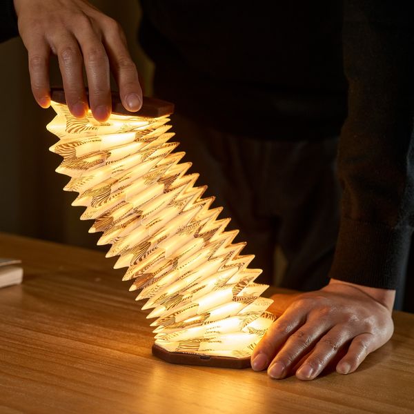 Velvet Accordion Light - Stimmungslicht in Akkordeonform Zebra