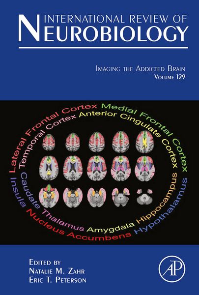 Produktbild: Imaging the Addicted Brain