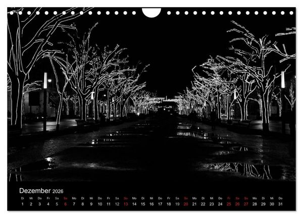 Produktbild: BLACK 'N WHITE (Wandkalender 2026 DIN A4 quer), CALVENDO Monatskalender