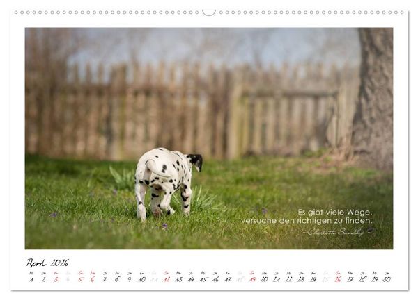 Produktbild: Mit guten Gedanken durch das Jahr (hochwertiger Premium Wandkalender 2026 DIN A2 quer), Kunstdruck in Hochglanz