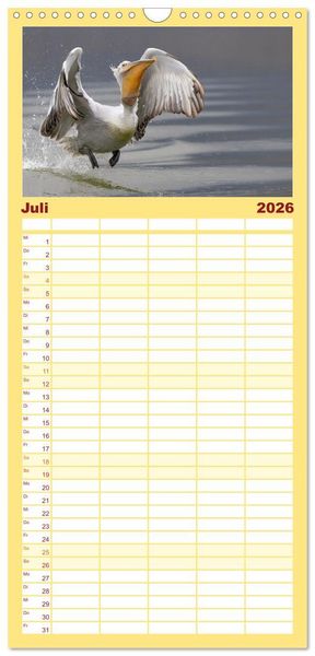 Produktbild: Familienplaner 2026 - Krauskopfpelikane mit 5 Spalten (Wandkalender, 21 x 45 cm) CALVENDO