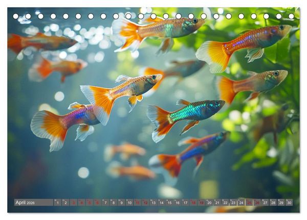 Produktbild: Tiefenentspanntes Aquarium (Tischkalender 2026 DIN A5 quer), CALVENDO Monatskalender
