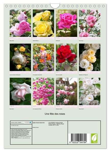 Produktbild: Une f&ecirc;te des roses (Calendrier mural 2026 DIN A4 horizontal), CALVENDO calendrier mensuel