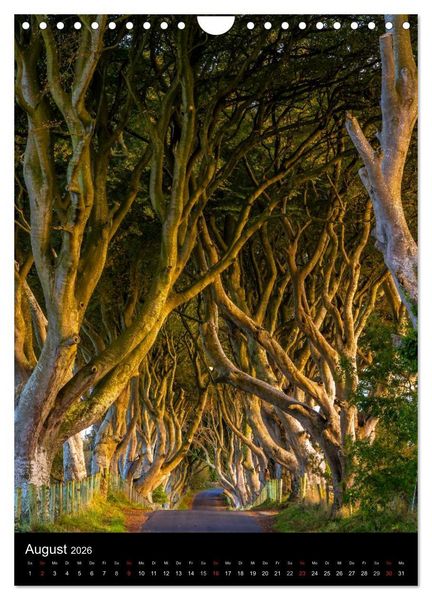 Produktbild: Irland entdecken (Wandkalender 2026 DIN A4 hoch), CALVENDO Monatskalender