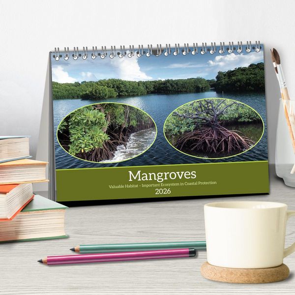 Produktbild: Mangroves - Valuable Habitat (Desk Calendar 2026 DIN A5 landscape), CALVENDO 12 Month DeskCalendar