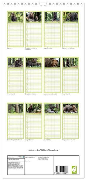 Produktbild: Familienplaner 2027 - Lautlos in den W&auml;ldern Sloweniens mit 5 Spalten (Wandkalender, 21 x 45 cm) CALVENDO