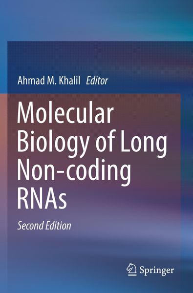 Produktbild: Molecular Biology of Long Non-coding RNAs