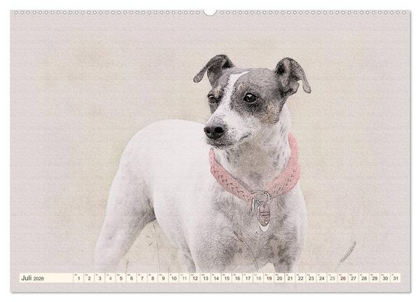 Produktbild: Bodeguero Andaluz 2026 (Wandkalender 2026 DIN A2 quer), CALVENDO Monatskalender