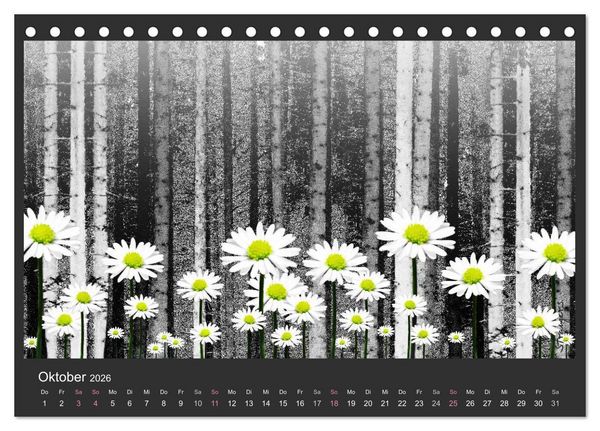 Produktbild: Schwarzwald. Anders. (Tischkalender 2026 DIN A5 quer), CALVENDO Monatskalender