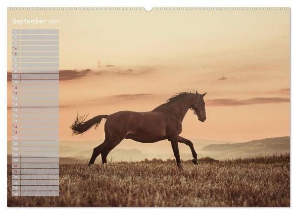 Produktbild: Pferde - Spiegel deiner Seele (Wandkalender 2027 DIN A2 quer), CALVENDO Monatskalender