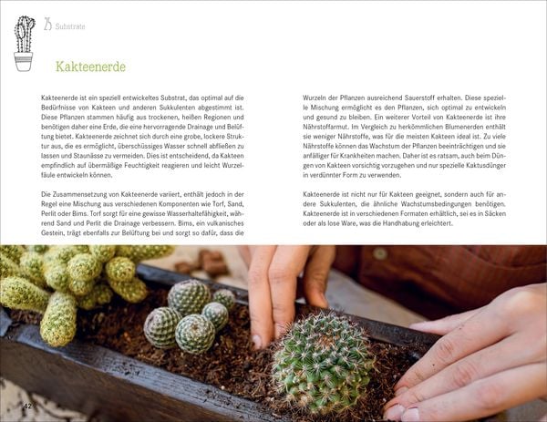 Produktbild: 101 Dinge, die Du &uuml;ber Zimmerpflanzen wissen musst