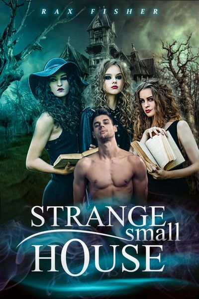 Produktbild: Strange Small House