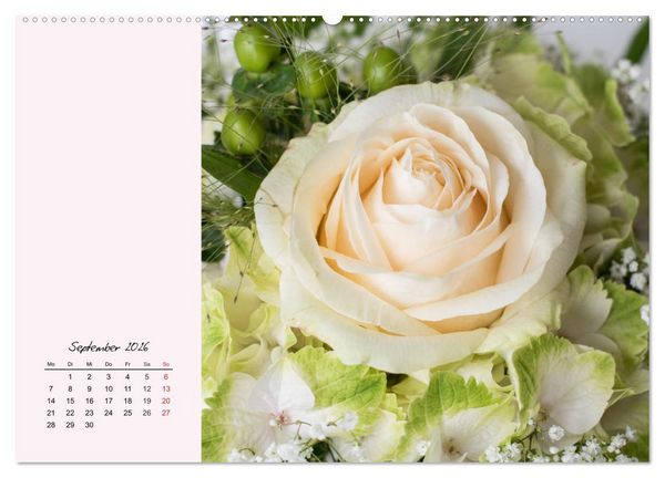 Produktbild: Rosen. Charmante und edle K&ouml;niginnen (hochwertiger Premium Wandkalender 2026 DIN A2 quer), Kunstdruck in Hochglanz