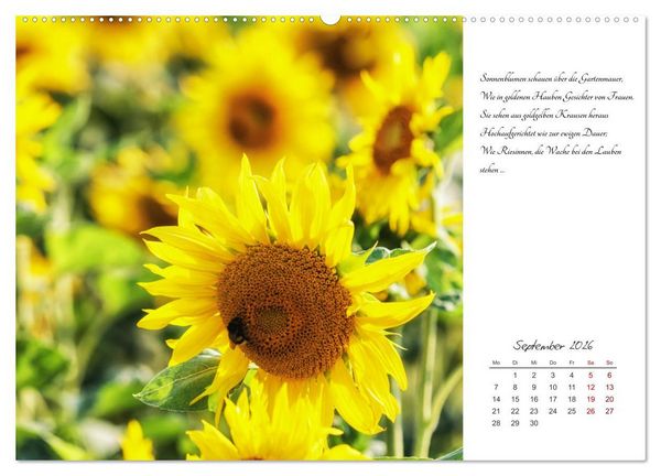 Produktbild: Max Dauthendey - Mit der Natur durchs Jahr (Wandkalender 2026 DIN A2 quer), CALVENDO Monatskalender