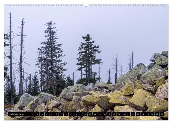 Produktbild: Zauberwelt Wald (Wandkalender 2026 DIN A2 quer), CALVENDO Monatskalender