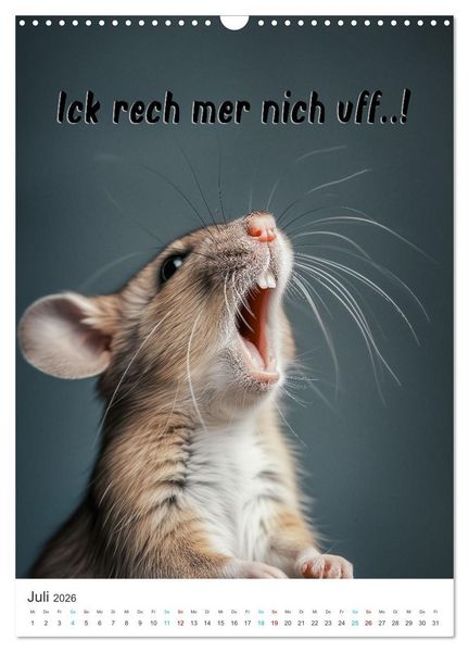 Produktbild: Lustige Tiere (Wandkalender 2026 DIN A3 hoch), CALVENDO Monatskalender