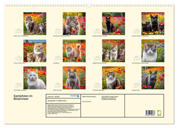 Produktbild: Samtpfoten im Bl&uuml;tenmeer (Wandkalender 2026 DIN A2 quer), CALVENDO Monatskalender