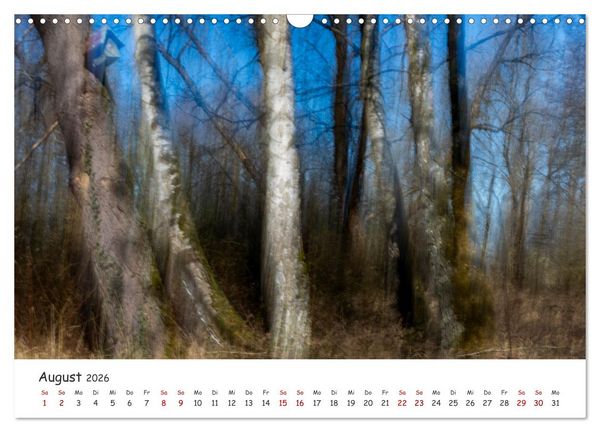 Produktbild: Abstrakte Naturerlebnisse - ICM (Intentional Camera Movement) Fotografie (Wandkalender 2026 DIN A3 quer), CALVENDO Monatskalender