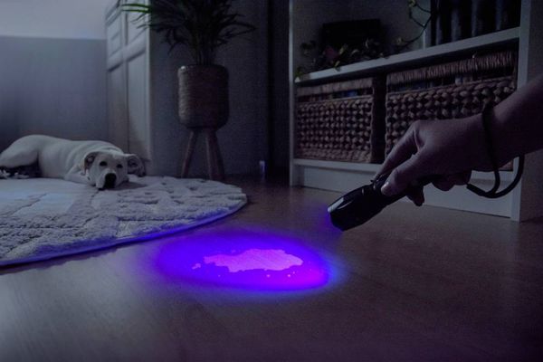 Produktbild: Ansmann Action 400 UV LED, UV-Lampe Taschenlampe batteriebetrieben 100 lm 27 h