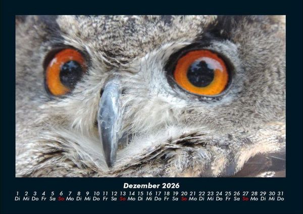 Produktbild: Der Tierkalender 2026 Fotokalender DIN A4