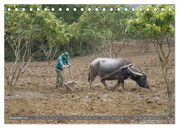 Produktbild: Menschen in Vietnam (Tischkalender 2026 DIN A5 quer), CALVENDO Monatskalender