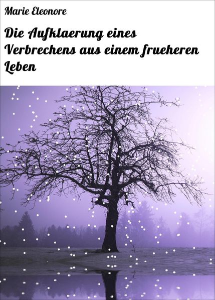 Produktbild: Die Aufklaerung eines Verbrechens aus einem frueheren Leben