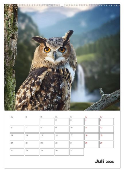 Produktbild: Eulen und K&auml;uze - Diese Wesen der Nacht (Wandkalender 2026 DIN A2 hoch), CALVENDO Monatskalender
