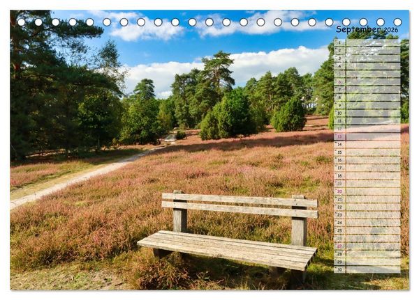 Produktbild: Heidespaziergang (Tischkalender 2026 DIN A5 quer), CALVENDO Monatskalender