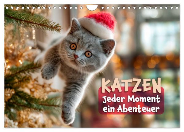 Produktbild: Katzen - Jeder Moment ein Abenteuer (Wandkalender 2027 DIN A4 quer), CALVENDO Monatskalender