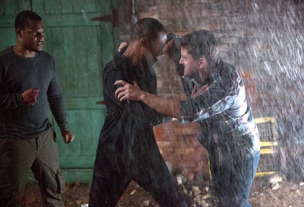 Produktbild: The Originals - Die komplette Staffel 2 [5 DVDs]