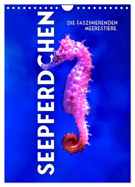 Produktbild: Seepferdchen - Die faszinierende Meerestiere. (Wandkalender 2026 DIN A4 hoch), CALVENDO Monatskalender