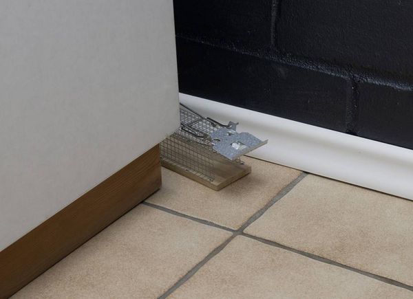 Produktbild: Gardigo Live Mouse Trap Lebendfalle Funktionsart Lockstoff 1St.