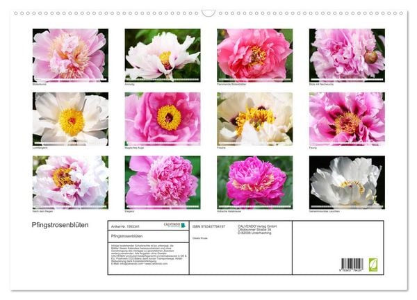 Produktbild: Pfingstrosenbl&uuml;ten (Wandkalender 2026 DIN A2 quer), CALVENDO Monatskalender