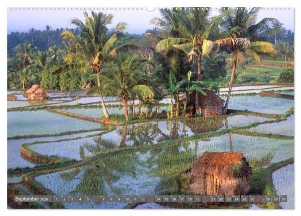 Produktbild: Peter Fischer - Bali 2026 (hochwertiger Premium Wandkalender 2026 DIN A2 quer), Kunstdruck in Hochglanz