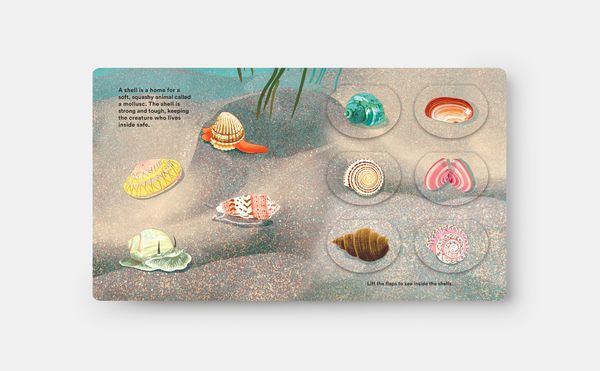 Produktbild: Shells... and what they hide inside