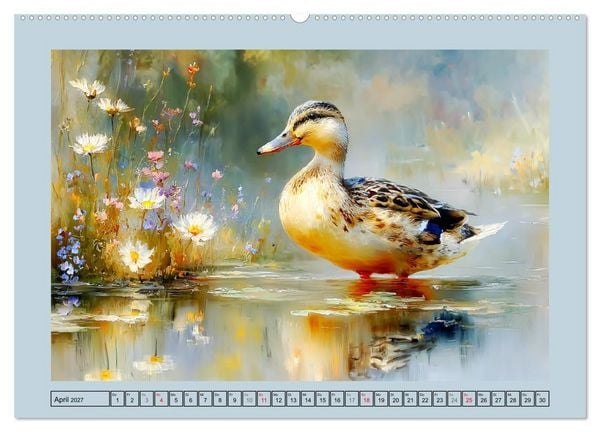 Produktbild: Zwergenten. Bezaubernde Schreih&auml;lse in der Natur (Wandkalender 2027 DIN A2 quer), CALVENDO Monatskalender