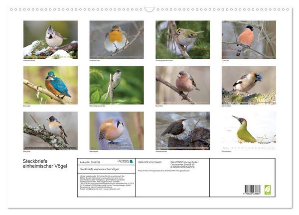 Produktbild: Steckbriefe einheimischer V&ouml;gel (Wandkalender 2026 DIN A2 quer), CALVENDO Monatskalender