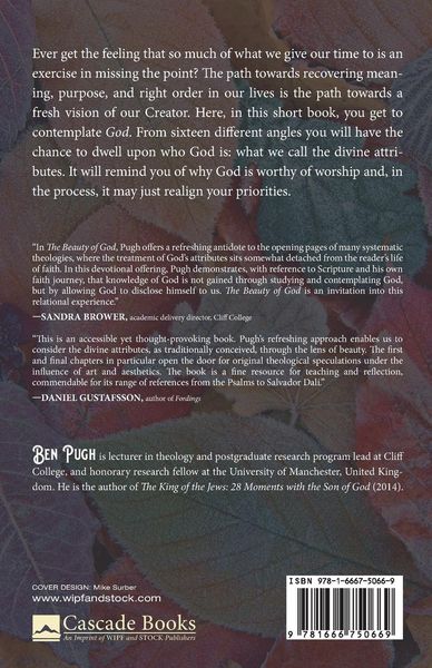 Produktbild: The Beauty of God
