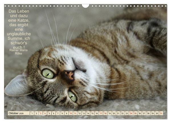 Produktbild: Samtpfoten Lebendige Poesie (Wandkalender 2026 DIN A3 quer), CALVENDO Monatskalender