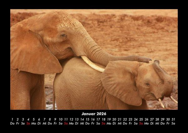 Produktbild: Tierkalender 2026 Fotokalender DIN A3