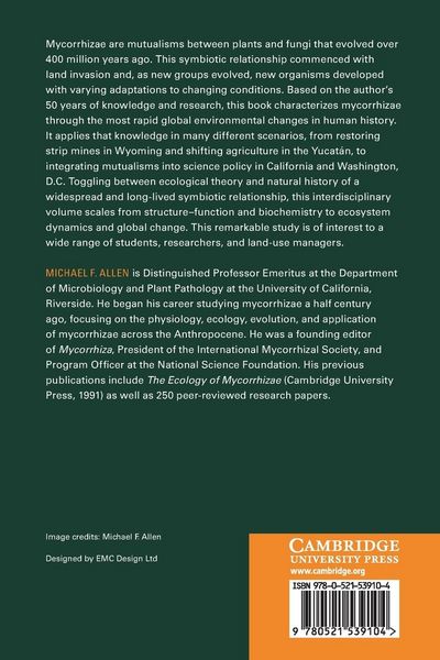 Produktbild: Mycorrhizal Dynamics in Ecological Systems