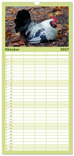 Produktbild: Familienplaner 2027 - Die Welt der H&uuml;hner mit 5 Spalten (Wandkalender, 21 x 45 cm) CALVENDO