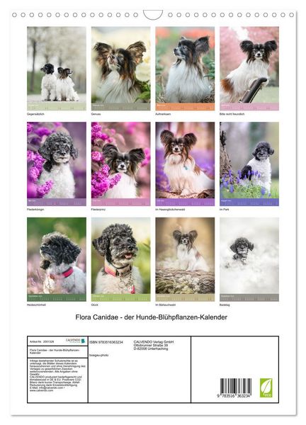 Produktbild: Flora Canidae - der Hunde-Bl&uuml;hpflanzen-Kalender (Wandkalender 2026 DIN A3 hoch), CALVENDO Monatskalender
